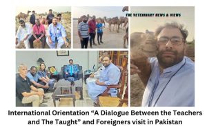 International Orientation “A Dialogue Between the Teachers and The Taught” and Foreigners visit in Pakistan