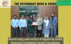 Month long Learn & Earn Program by UVAS, Business Incubation Centre completes