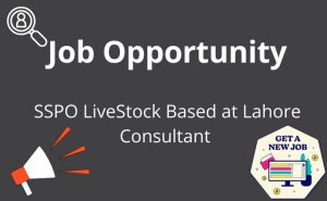 SSPO LiveStock Based at Lahore Consultant