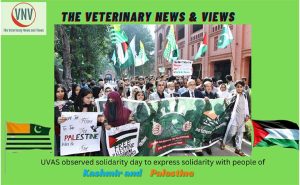 UVAS Observes Solidarity Day with Kashmir and Palestine