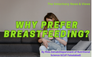BREASTFEEDING