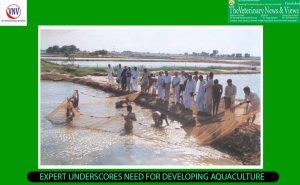 EXPERT UNDERSCORES NEED FOR DEVELOPING AQUACULTURE