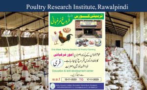 Announcing One-Week Poultry Farming Training Session