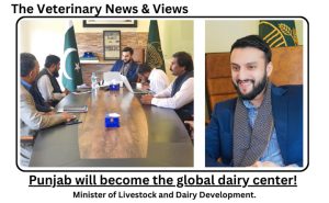 Punjab will become the global dairy center! Minister of Livestock and Dairy Development.