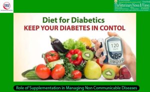 Role of Supplementation in Managing Non Communicable Diseases