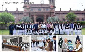 Agricultural Area and Food Security