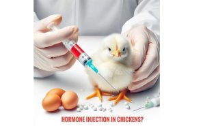 Growth-hormones-or-Science