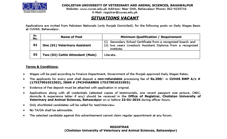 Cholistan University of Veterinary and Animal Sciences: Job Openings in Bahawalpur