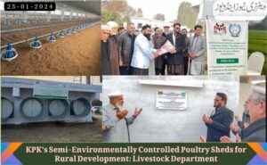 KPK's Semi-Environmentally Controlled Poultry Sheds for Rural Development: Livestock Department