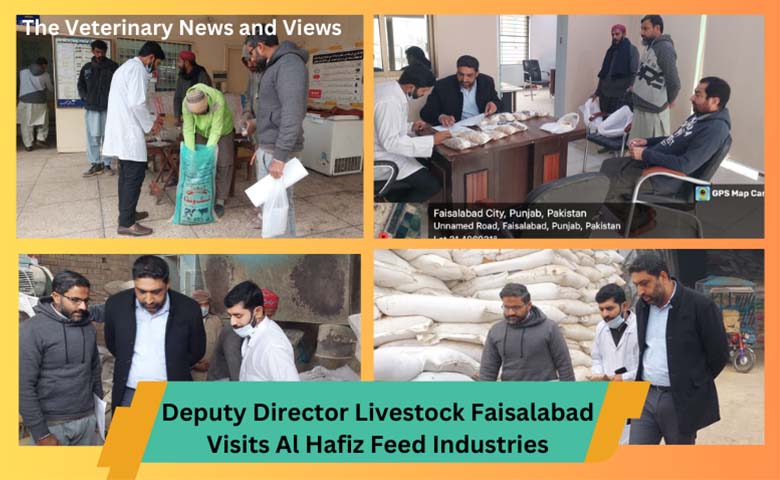 Regulatory Visit and Feed Analysis at Al Hafiz Feed Industries by Deputy Director Livestock Faisalabad