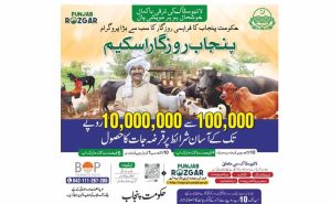 Punjab Employment Scheme