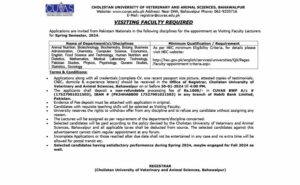 Visiting Faculty Job Posting Optimization for Cholistan University