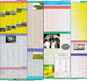 The Veterinary News and Views Weekly has published Issue No. 11, Vol. 19, Jan 16-23, 2024