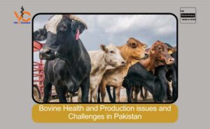 Bovine Health and Production issues and Challenges in Pakistan