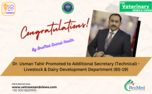 Dr. Usman Tahir is Promoted to Additional Secretary (Technical) in the Department of Livestock and Dairy Development (BS-19)