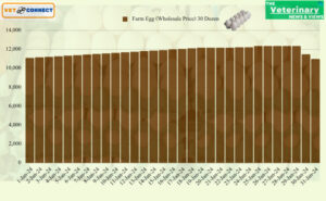 Farm-Egg
