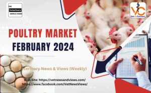Poultry Market for the Month of February 2024