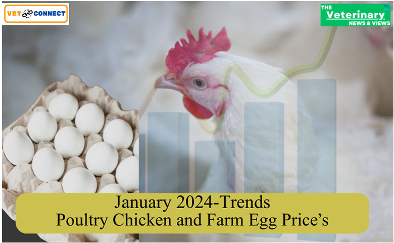 January 2024 Trends Poultry Chicken and Farm Egg Prices