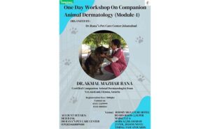 One Day Workshop On Companion Animal Dermatology