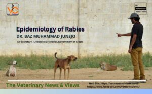 Epidemiology of Rabies