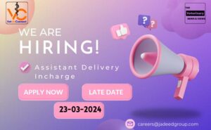 Jadeed Group - Job Advertisement