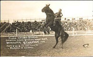 Fannie Sperry Steele