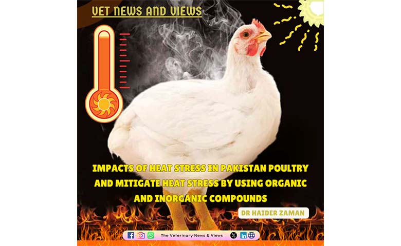 IMPACTS OF HEAT STRESS IN PAKISTAN POULTRY AND MITIGATE HEAT STRESS BY USING ORGANIC AND INORGANIC COMPOUNDS