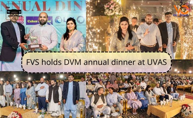 The Faculty of Veterinary Science of the University of Veterinary and Animal Sciences Lahore arranged an annual Doctor of Veterinary Medicine Dinner at City Campus Lahore.