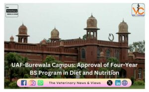 Four-Year BS Program in Diet and Nutrition at UAF-Burewala Campus