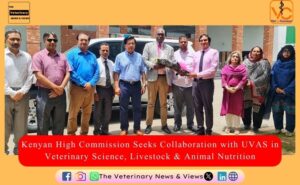 Kenyan High Commission desire collaboration with UVAS in veterinary science, livestock & animal nutrition