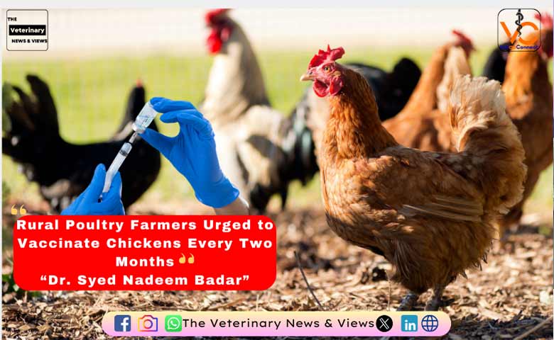 Rural Poultry Farmers Urged to Vaccinate Chickens Every Two Months