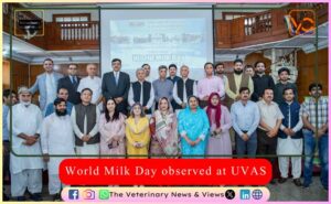 World Milk Day observed at UVAS