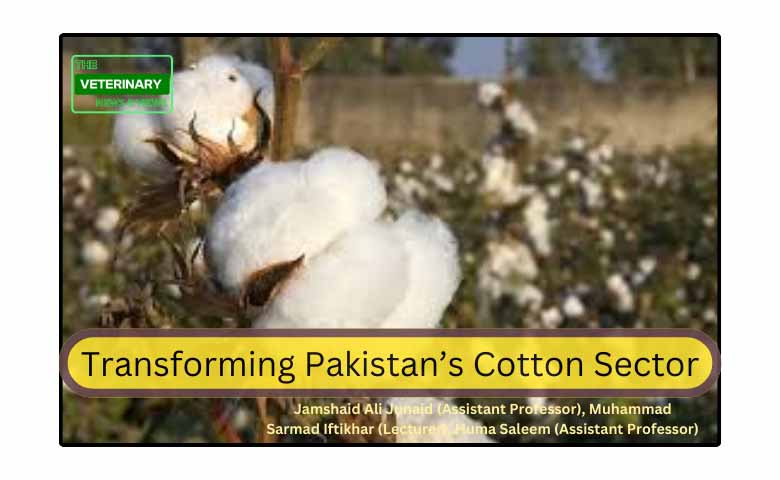 Transforming Pakistan’s Cotton Sector