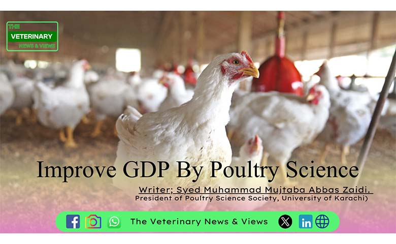 Improve GDP By Poultry Science