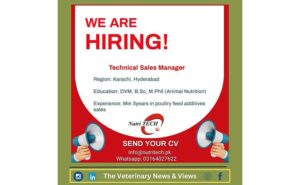 Technical Sales Manager