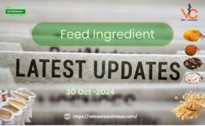 Feed Ingredient