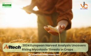 Alltech’s 2024 European Harvest Analysis Uncovers Rising Mycotoxin Threats in Crops
