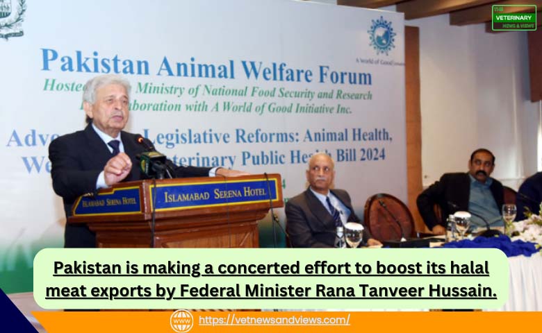 Pakistan Making Concerted Effort to Boost Halal Meat Exports, Says Federal Minister Rana Tanveer Hussain