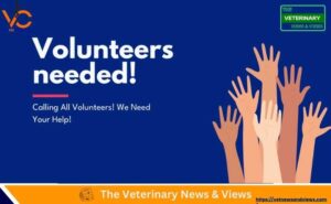 We are seeking Members to join our Dental Committee