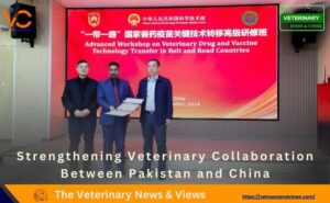 Strengthening Veterinary Collaboration Between Pakistan and China