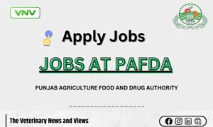JOBS AT PAFDA