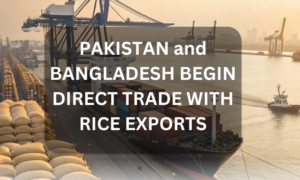 BANGLADESH BEGIN DIRECT TRADE WITH RICE EXPORTS