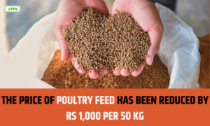 Poultry Feed Prices Drop by Rs1,000 Per 50 kg