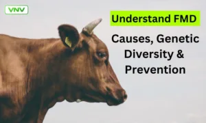 Understanding FMD Outbreaks: Causes, Genetic Diversity & Prevention