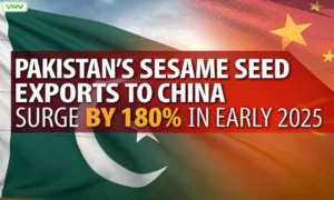 Pakistan's Sesame Seed Exports to China Surge by 180% in Early 2025