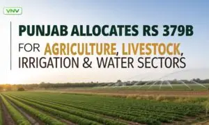 Punjab Allocates Rs 379 Billion for Agriculture, Livestock, Irrigation & Water Sectors
