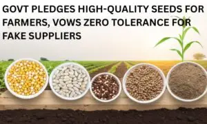 "Govt Guarantees Quality Seeds for Farmers | Strict Action Against Fake Suppliers"