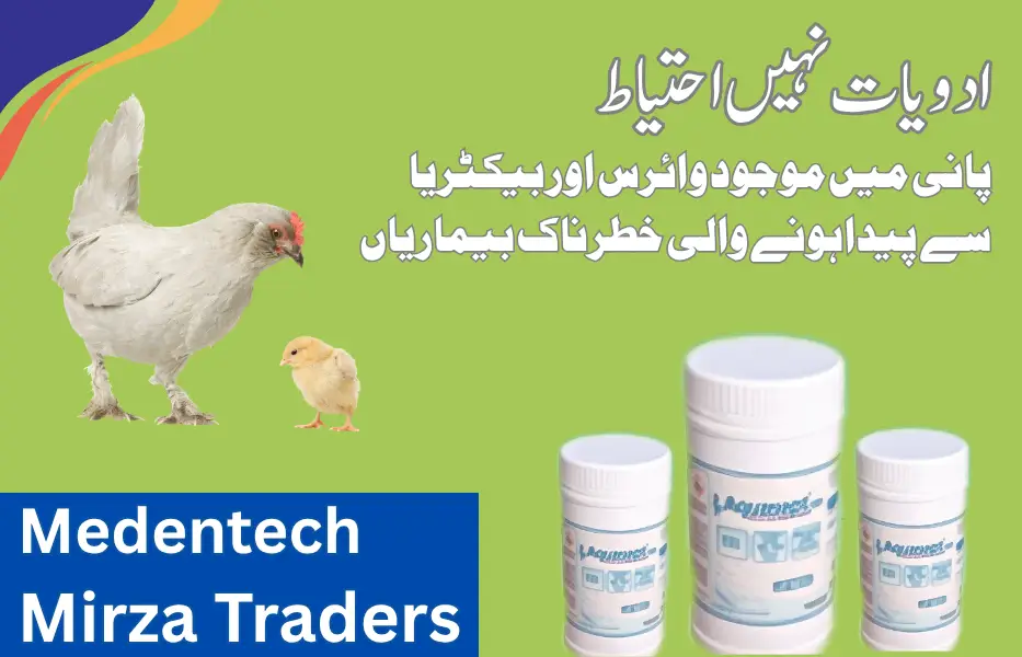 Ads Mirza Traders