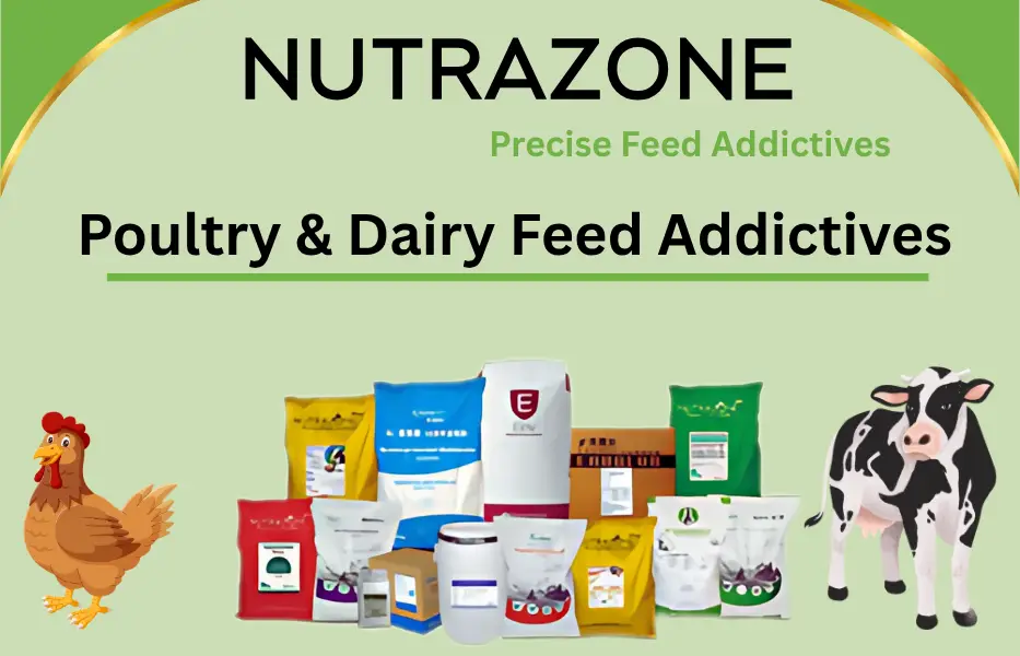 ads Nutrazone Enterprises