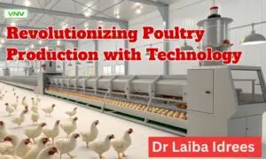 Revolutionizing Poultry Production with Technology
